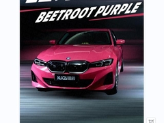 TPU-Beetroot Purple